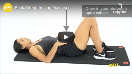 Treating lower back pain with physical therapy exercises screencapture solpt wp admin post php 2020 10 15 08 50 31 treating lower back pain with physical therapy exercises video