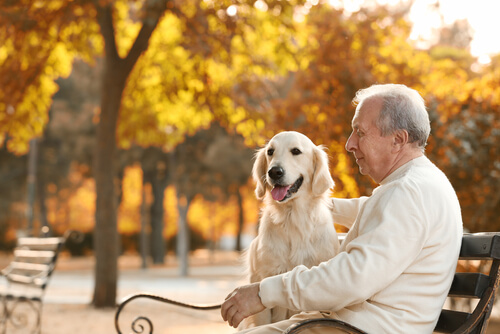 How Long for Herniated Disc to Heal Without Surgery